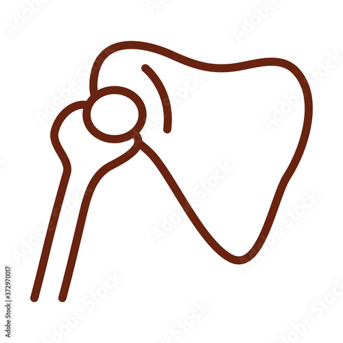 human body limb bone arm scapula anatomy organ health line icon style