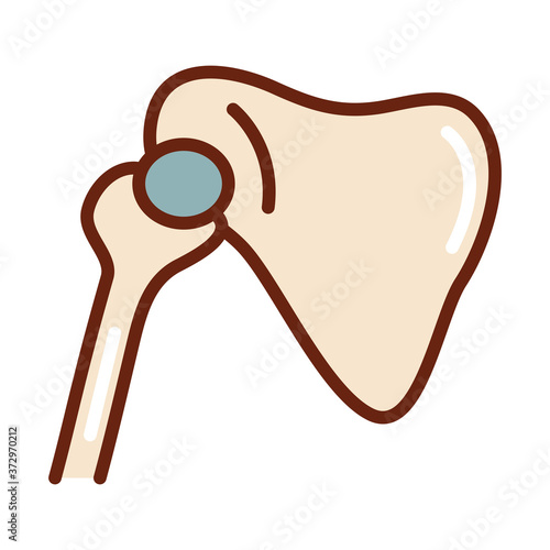 human body limb bone arm scapula anatomy organ health line and fill icon