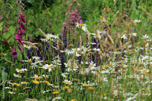 Naturnahe Gärten mit Wildblumen