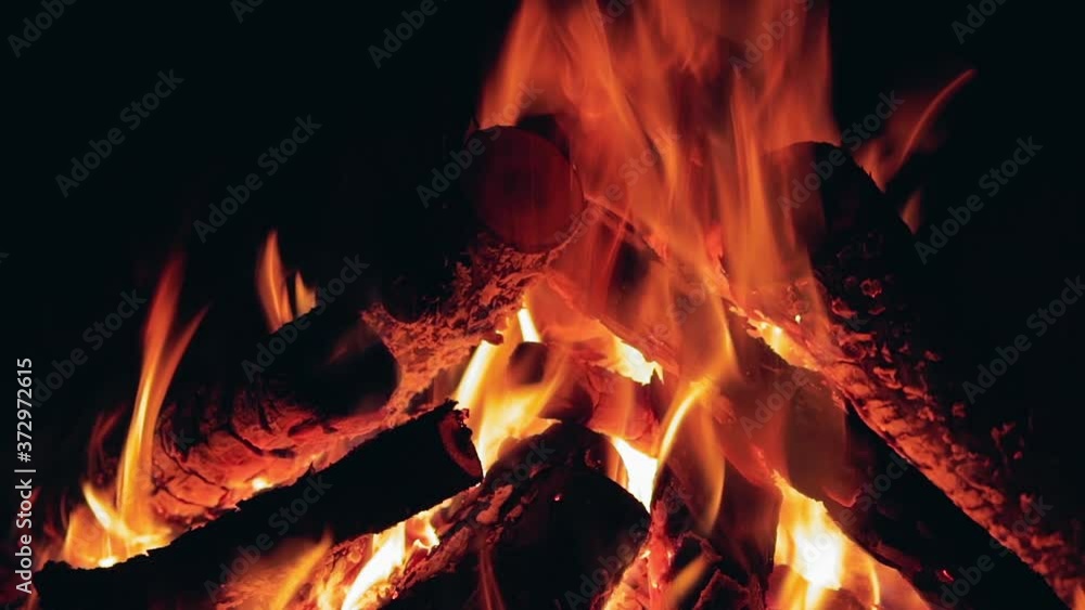 Burning Campfire in Night Forest - Close-Up Static Shot. Hot Flaming Bonfire on Black Background Burning Campfire in Night Forest - Close-Up Static Shot. Hot Flaming Bonfire on Black Background