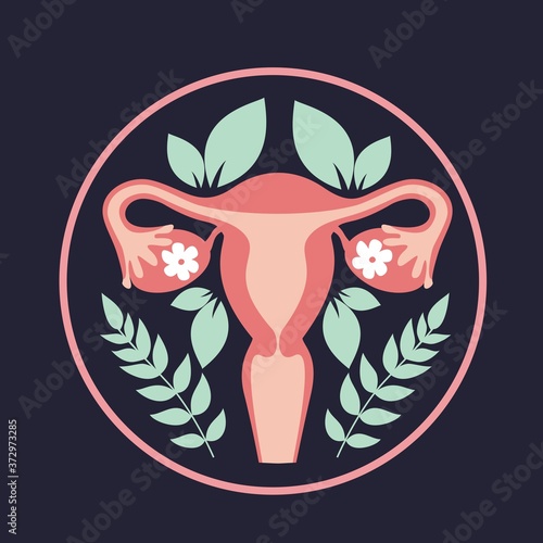 Female uterus
