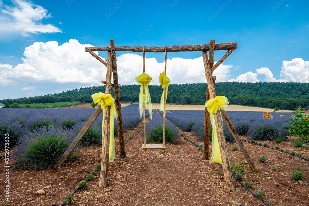 Fototapeta premium Lavander Field view in Denizli Province of Turkey