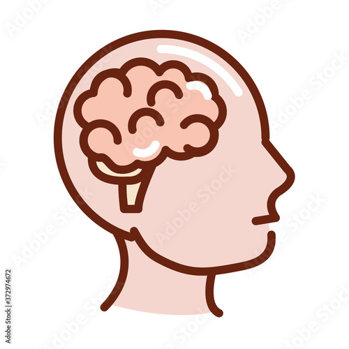 human body profile brain anatomy organ health line and fill icon