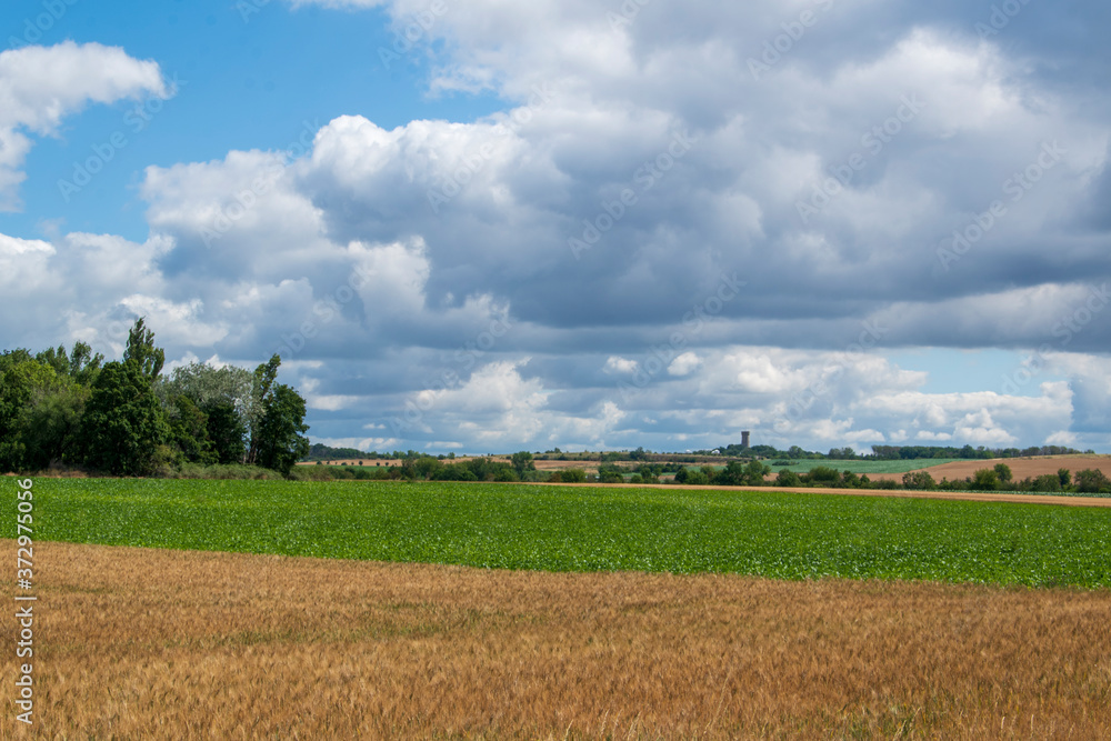 Agrarlandschaft im Frühsommer zwischen Schöppenstedt und Wanzleben. Die Getreidefelder sind kurz vor der Ernte. Agrarlandschaft im Frühsommer zwischen Schöppenstedt und Wanzleben. Die Getreidefelder sind kurz vor der Ernte.