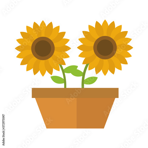 agriculture and farming potted sunflowers flat icon style
