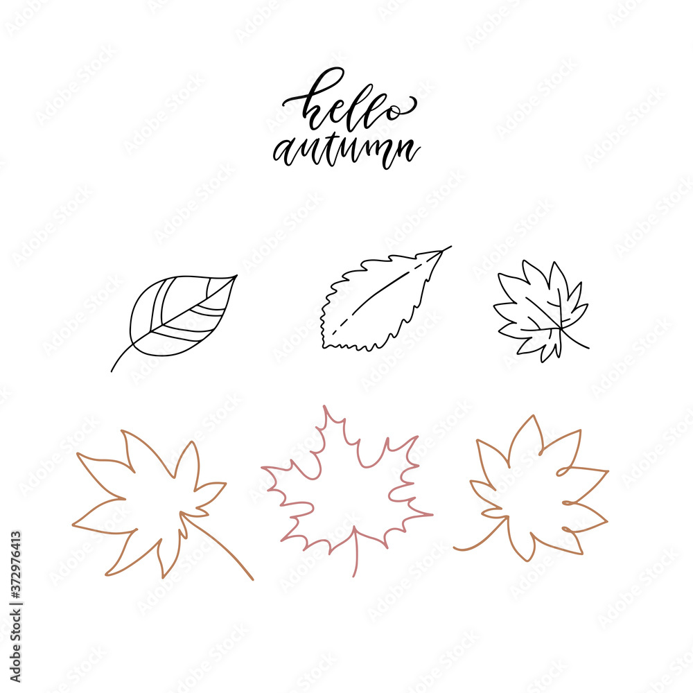 Vector linear doodle illustrations. Hello autumn set. Linear leaves set. Collection minimalistic decor.