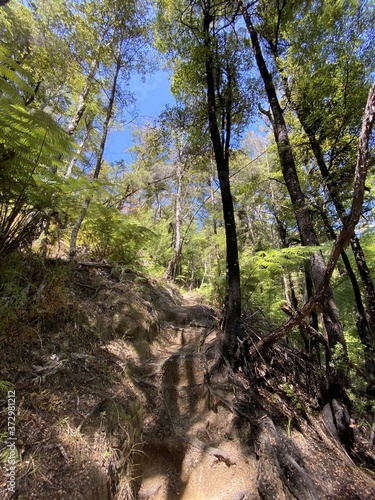 Sentier de randonn  e du parc Abel Tasman  Nouvelle Z  lande 