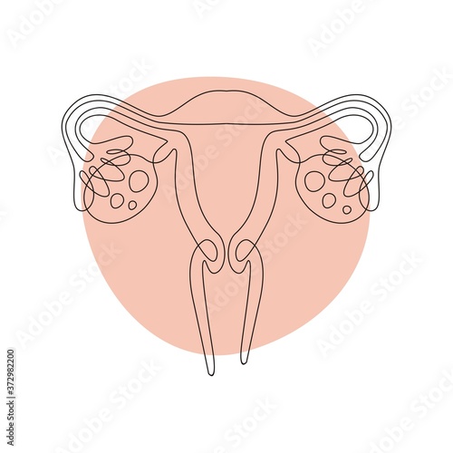 Fényképezés Female uterus