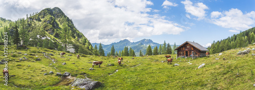 Idyllic mountain landscape in the alps: Mountain chalet, cows, meadows and blue sky