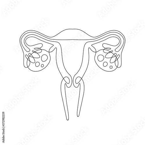 Female uterus with a line