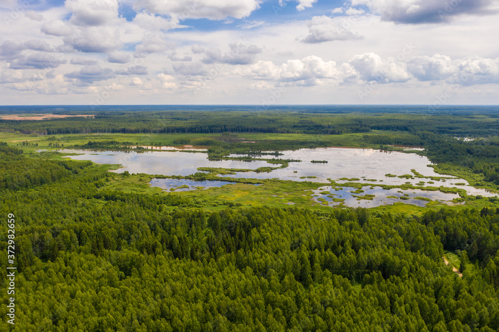 Small marshy lake and large forest on a summer day.