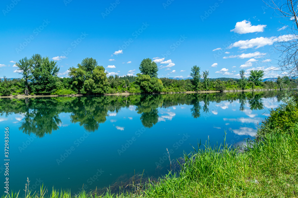 Fototapeta premium Summer landscape on the river with reflection