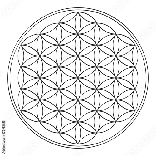 vector icon with ancient symbol flower of life for your design