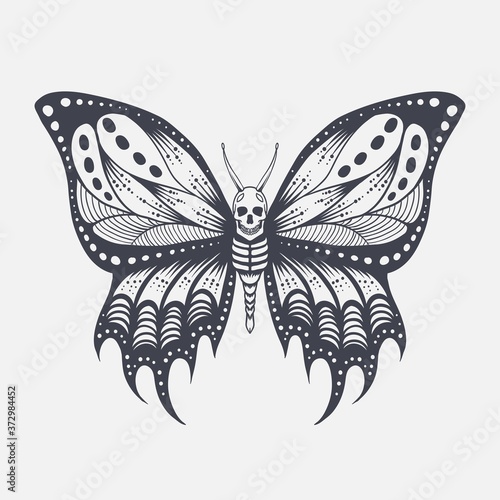 Skull butterfly vector illustration