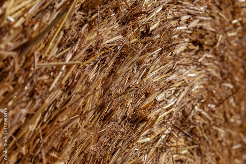 straw in a bale close up