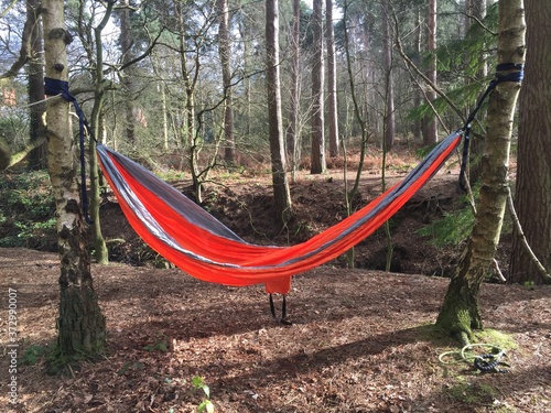 Empty hammock in forest, trees, woods, in autumn. 
