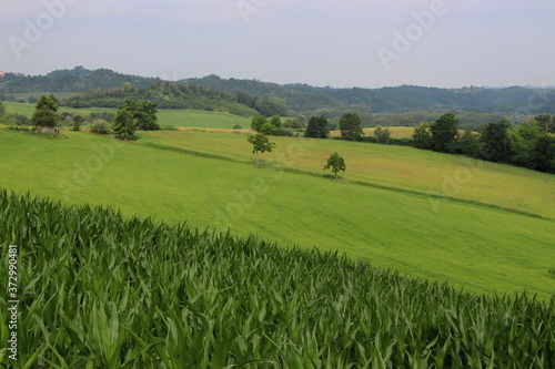 Views of the Monferrato hills from Montiglio Monferrato. 