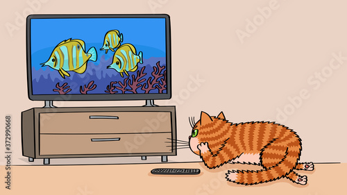 The cat is watching a TV series about the life of fish.