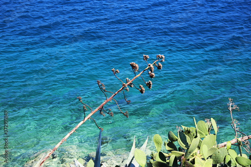 Greek Islands. Skiathos is a small Greek island in the northwest Aegea photo