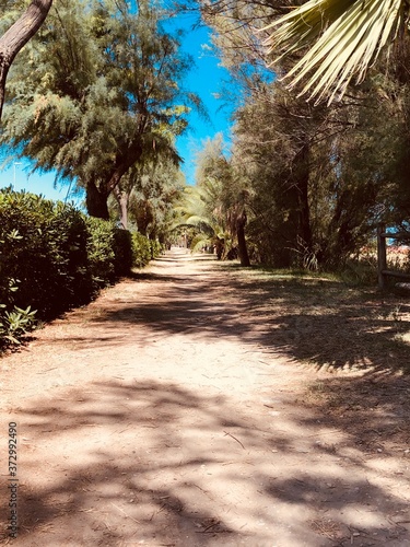 pathway in the park