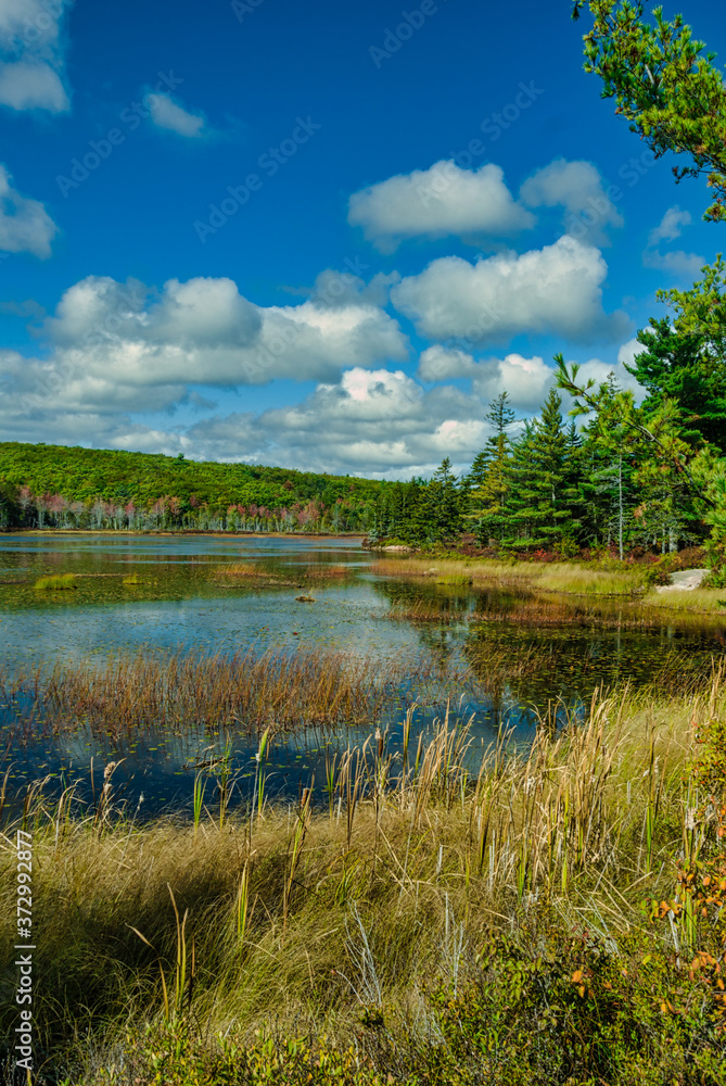 Aunt Betty Pond, Acadia National Park, Maine