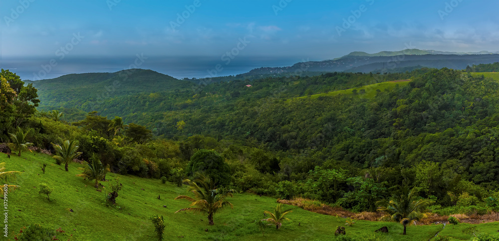 A view across the jungle towards Castries in St Lucia A view across the jungle towards Castries in St Lucia