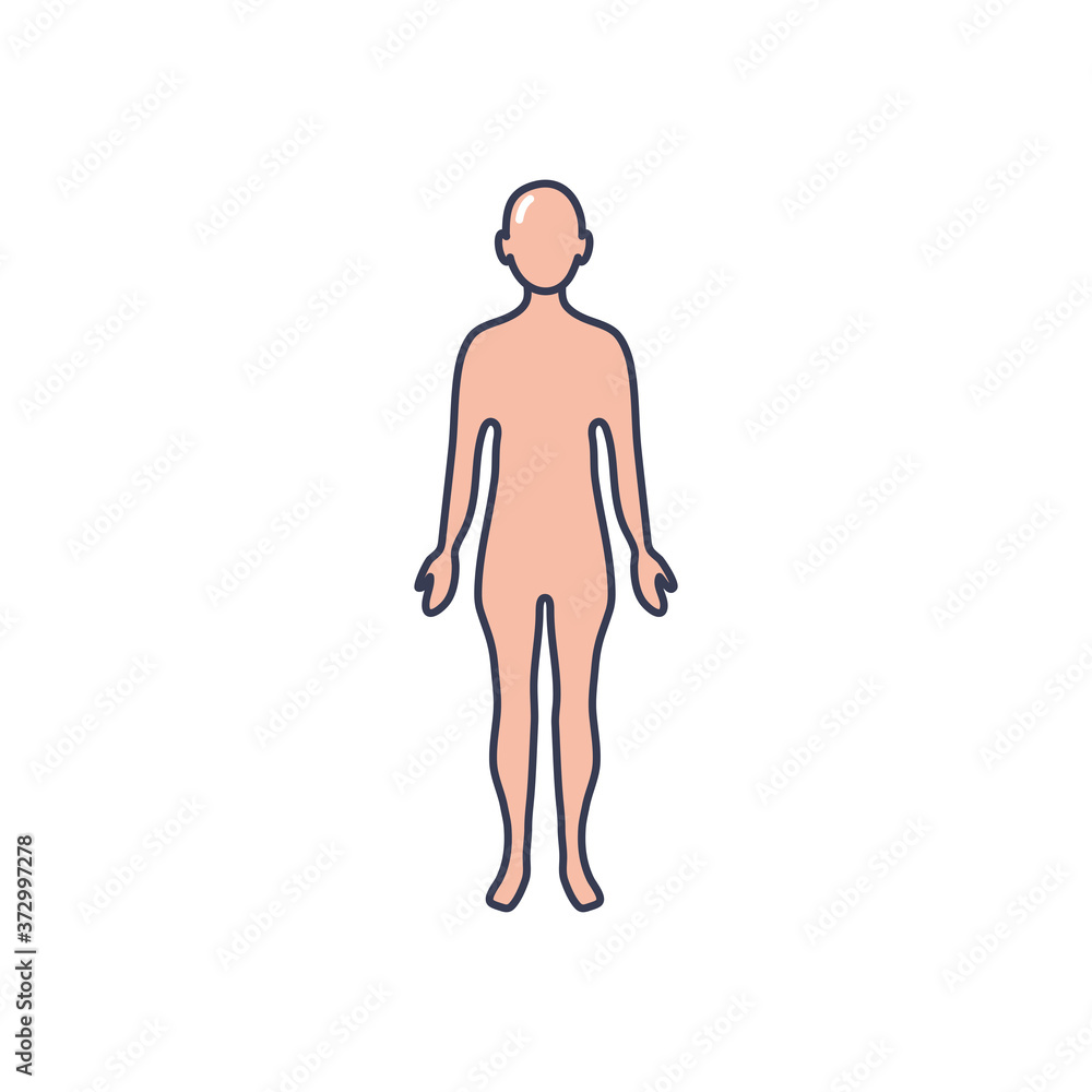 human body icon, line fill style human body icon, line fill style