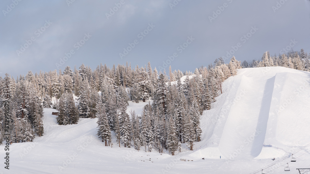 A half pipe with trees covered in snow at an empty ski resort in winter A half pipe with trees covered in snow at an empty ski resort in winter