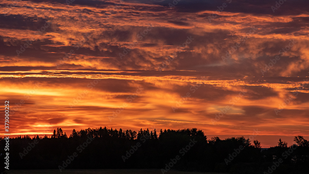 brilliant red and orange sunrise over trees