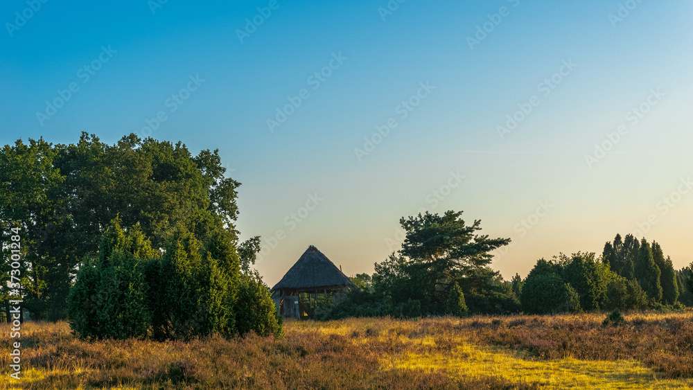 Heidschnuckenweg Lüneburger Heide Heidschnuckenweg Lüneburger Heide
