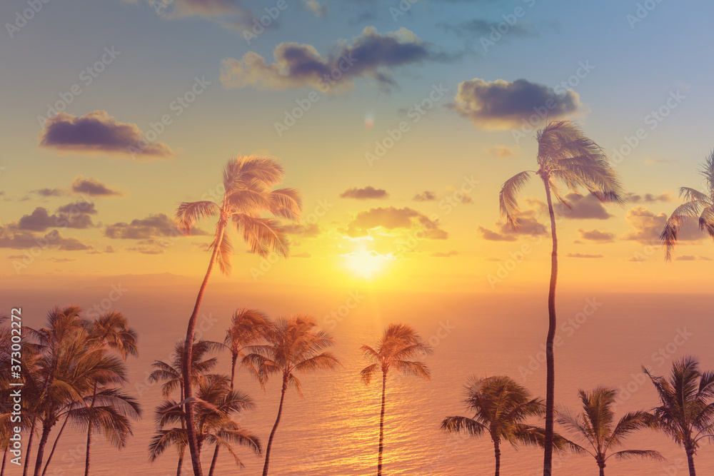 sunset, and palm trees over the ocean