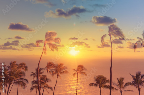 Fototapeta Naklejka Na Ścianę i Meble -  sunset, and palm trees over the ocean