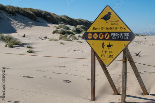 Yellow Snowy Plover warning sign on Florence, Oregon beach.
