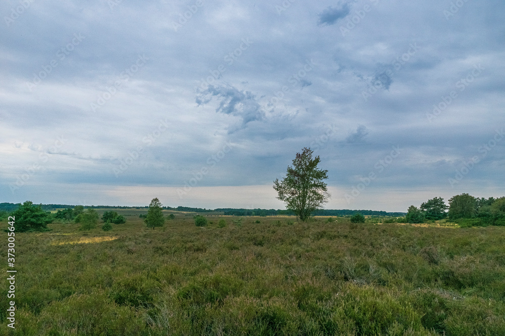 Heidschnuckenweg Lüneburger Heide Heidschnuckenweg Lüneburger Heide