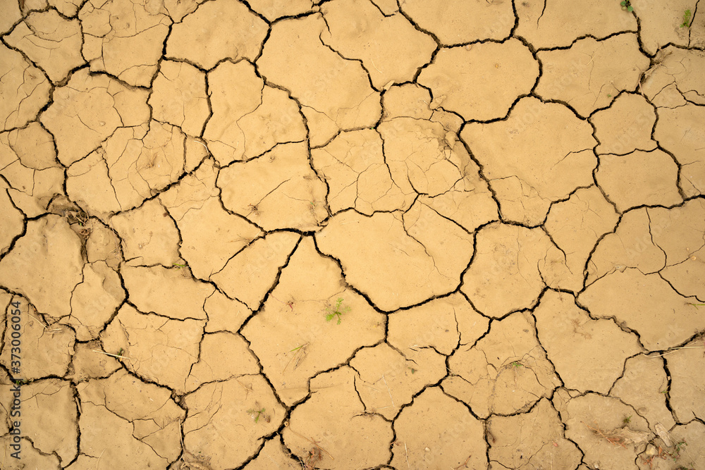 Cracks in the ground.Textured ground drought background.Close up dried soil with green plants. Cracked dry yellow clay earth.Drought lands, global warming effects. natural disaster. Nature texture. Cracks in the ground.Textured ground drought background.Close up dried soil with green plants. Cracked dry yellow clay earth.Drought lands, global warming effects. natural disaster. Nature texture.