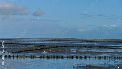 waddensea