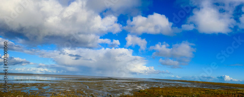 waddensea