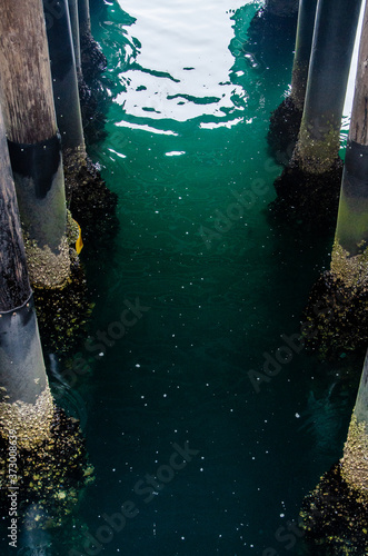 Pier Pilings