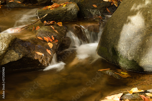 Flowing water among rocks with orange leaves in Fall
