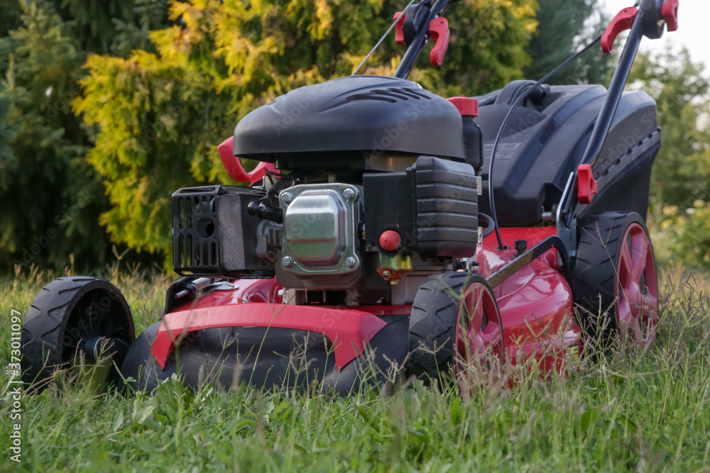 Obraz premium Red lawn mower on the meadow, close up