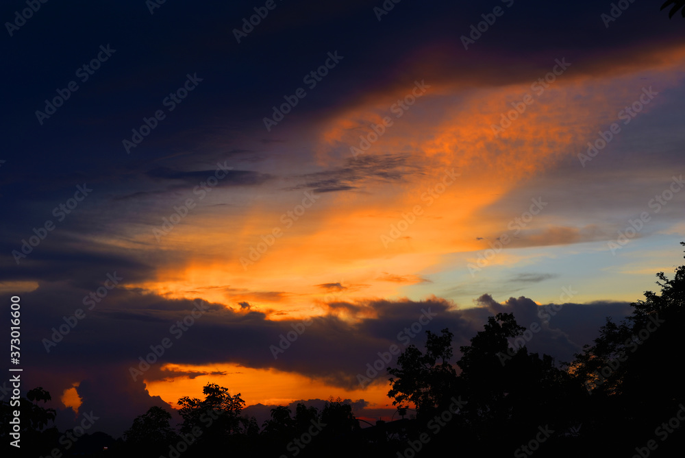 Fototapeta premium Abstract soft blurred semi silhouette of the sunset with the beautiful sky cloud storm thunderstorm with black silhouette tree foreground