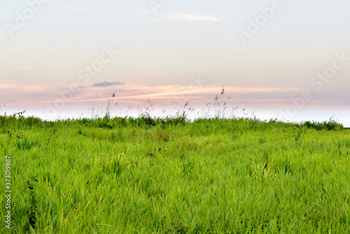 Green grass fields on beautiful sky