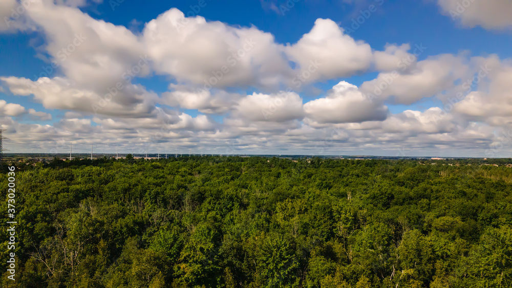 Fototapeta premium Aerial panorama of the forest and blue sky