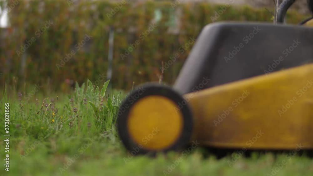 gardener with lawn mower cutting green grass in backyard gardener with lawn mower cutting green grass in backyard