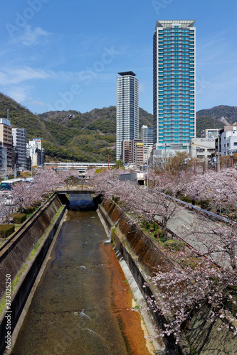 神戸 春の生田川と高層ビル