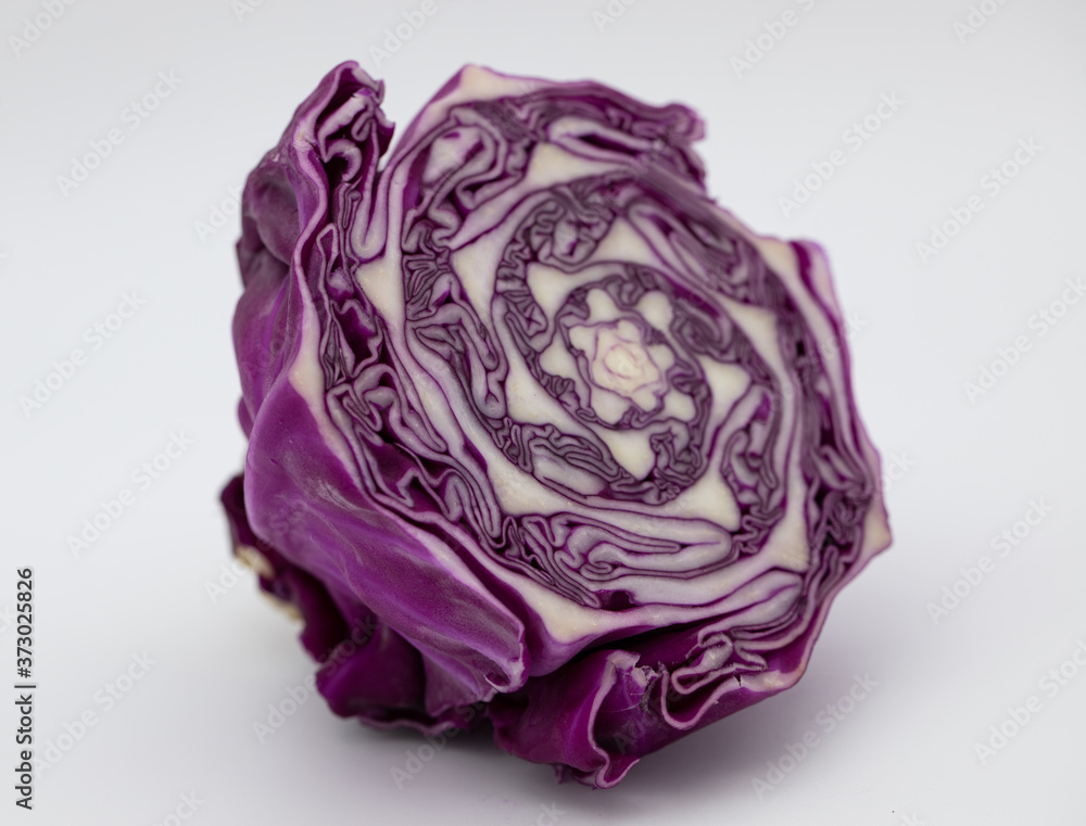 Fototapeta premium Red Cabbage