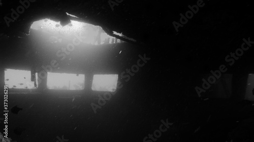 Shipwreck cabin diving