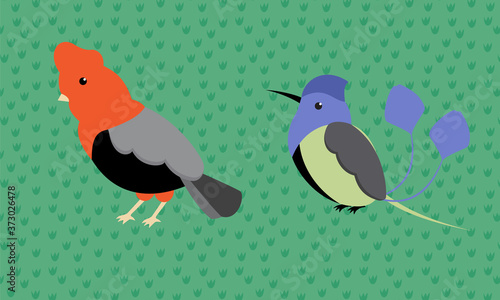 Andean bird Cock-of-the-Rock Hummingbird Spatuletail Vector-Design