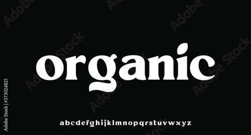 organic lowercase font perfect for branding or word mark design