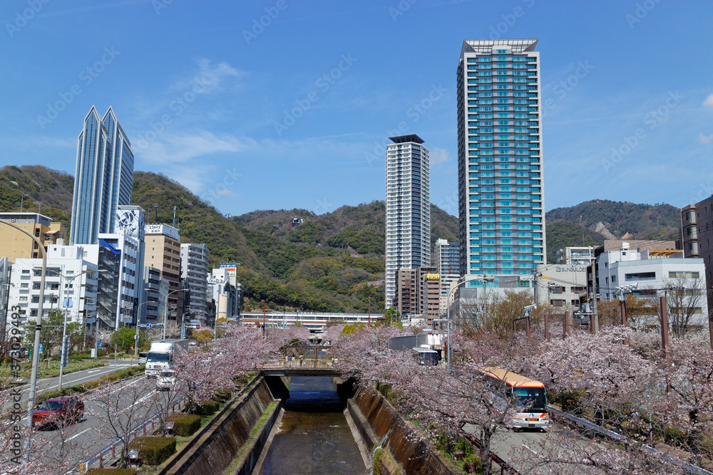 Fototapeta premium 神戸 春の生田川と高層ビル